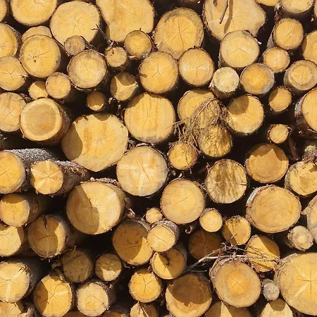 Hotel Tyrol Mosern (Telfs)