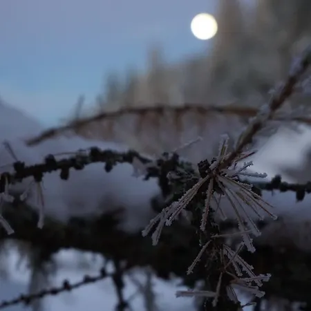 호텔 Tyrol